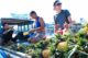 Mekong Delta floating market tours_4