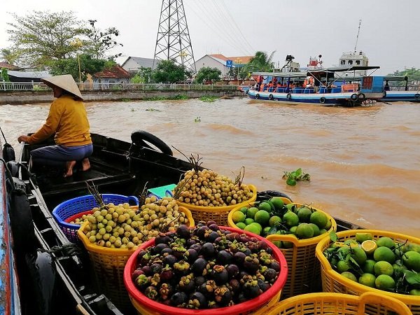 Mekong Delta floating market tours_5