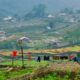 Sapa ancient rock field_1