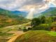 Sapa ancient rock field_2