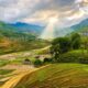 Sapa ancient rock field_2