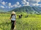 Sapa trekking 3 day itinerary_5