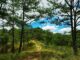 Vietnam mountain expeditions_6