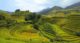 best eco tourism destinations in Vietnam_2