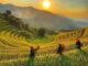 best eco tourism destinations in Vietnam_4