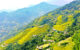 best rice terraces in Northern Vietnam
