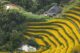 best rice terraces in Northern Vietnam_4