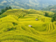 best rice terraces in Northern Vietnam_thumb