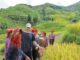 cultural trekking in Vietnam