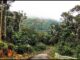 Khu Bảo tồn thiên nhiên Hòn Bà Natural Reserve