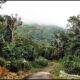 Khu Bảo tồn thiên nhiên Hòn Bà Natural Reserve