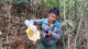 wild honey hunting in Vietnam_2