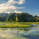 wildlife spotting Ninh Binh_thumb