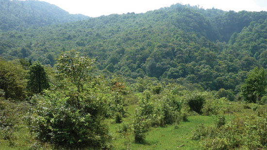 Hoang Lien National Park trekking guide_5