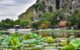 Kim Son Ninh Binh travel guide_4
