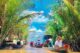 Mekong Delta 2 day itinerary_thumb
