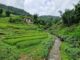 Sapa trekking guide by locals_4