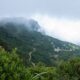 Shan Tuyet tea trekking_thumb