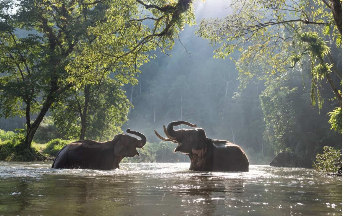 Southeast Asia outdoor guide
