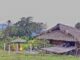 Tay homestay Ha Giang_2