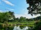 Tay homestay Ha Giang_4