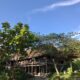 Tay homestay Ha Giang_thumb