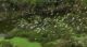 Thung Nham Bird Garden guide_1