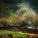 best time for Ha Giang Loop_1