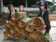 Cinnamon harvest in Vietnam
