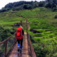 Ngọc Linh Nature Reserve