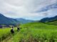 trekking Bidoup Nui Ba