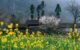 best time for Ha Giang Loop_3