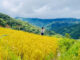 best time for Ha Giang Loop_5