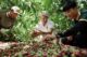 coffee tourism in Dak Lak_thumb