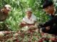 coffee tourism in Dak Lak_thumb